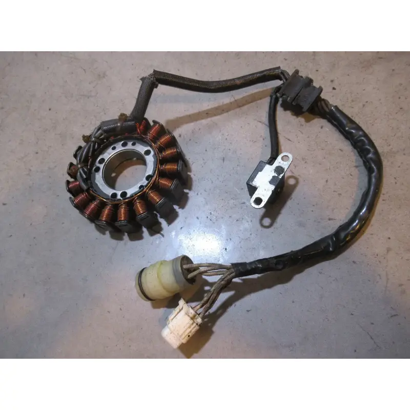 Yamaha Raptor 660 Stator 2004 #14