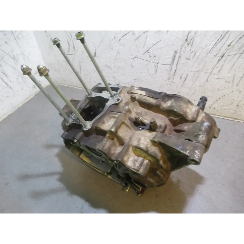 Honda TRX 250X Crank Case 1991