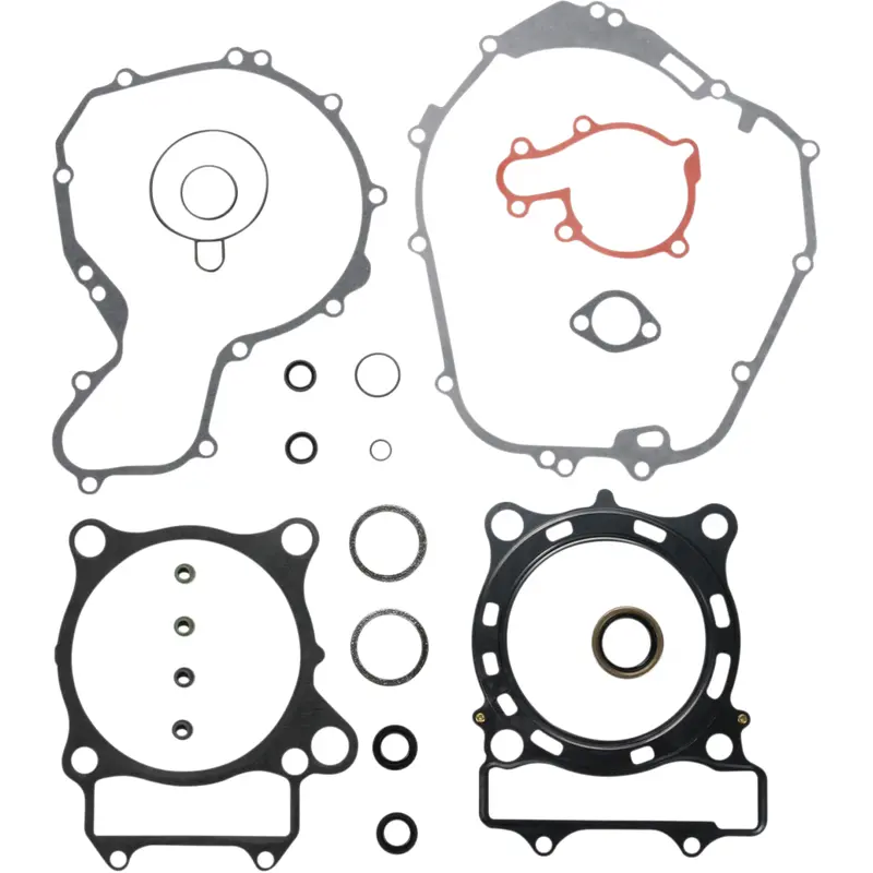 Complete Gasket and Oil Seal Kit