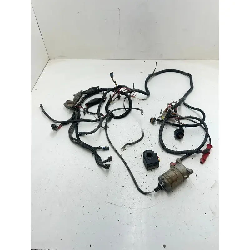 02 2002 Polaris Sportsman 500 H.O. 4x4 OEM GOOD! Wiring Harness Loom ECU CDI