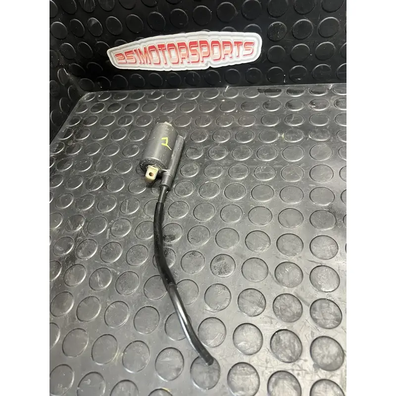 06-25 YAMAHA RAPTOR  700 Ignition Coil Denso FAST SHIP