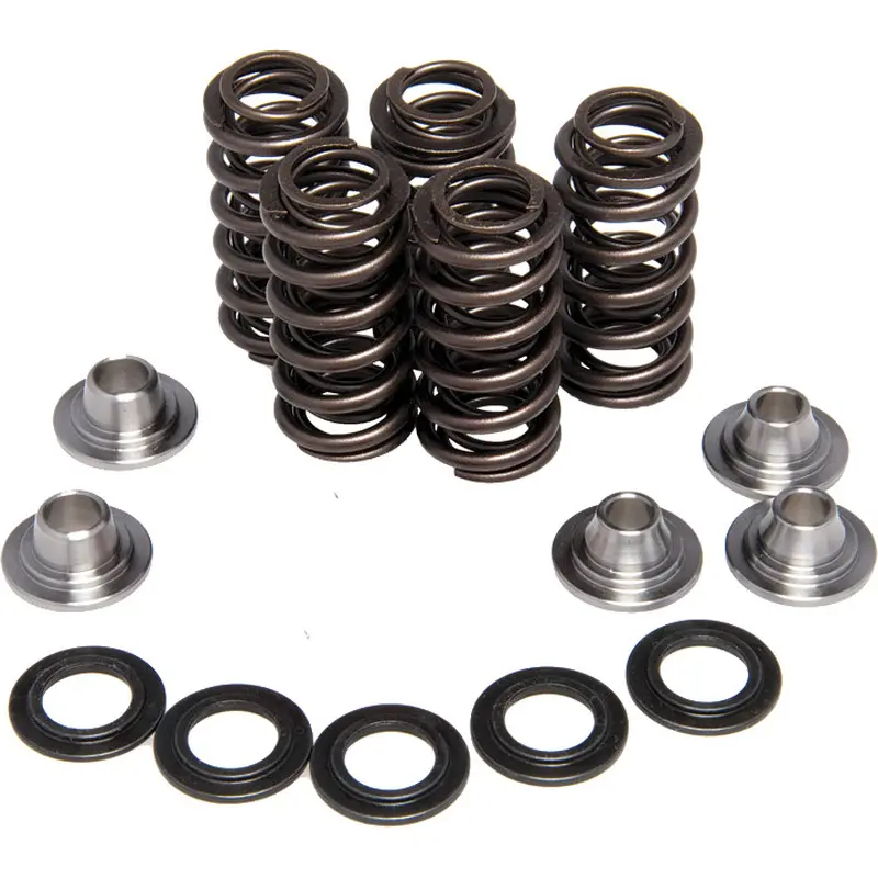 KPMI RACING VALVE SPRING KIT