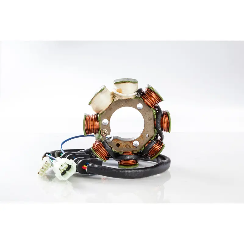 RICKS STATOR