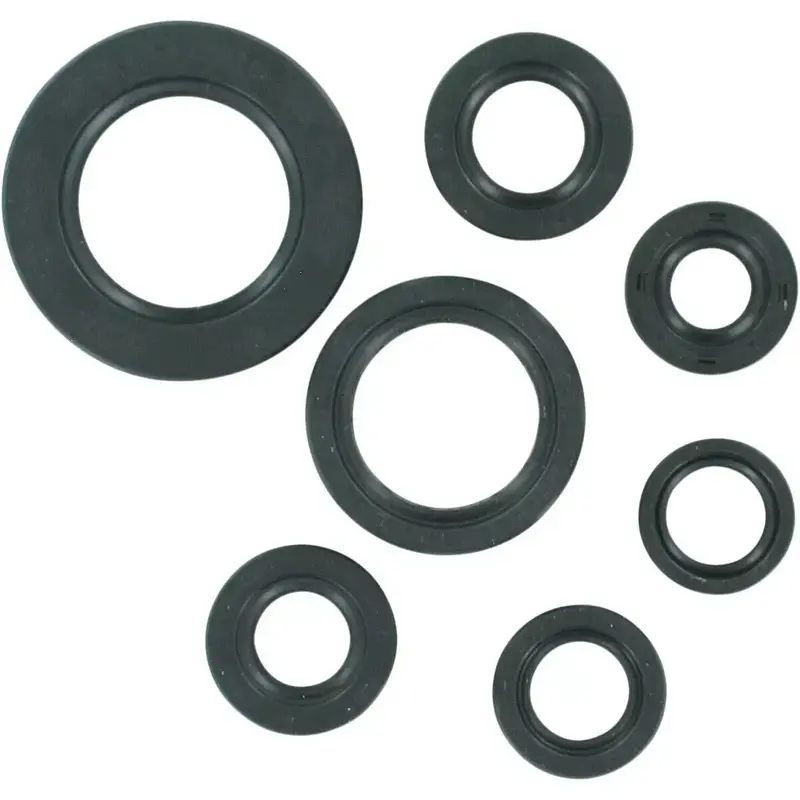 Moose Oil Seal Set Honda TRX250EX Sportrax 01-14 TRX250TM Recon 02-16 0935-0466