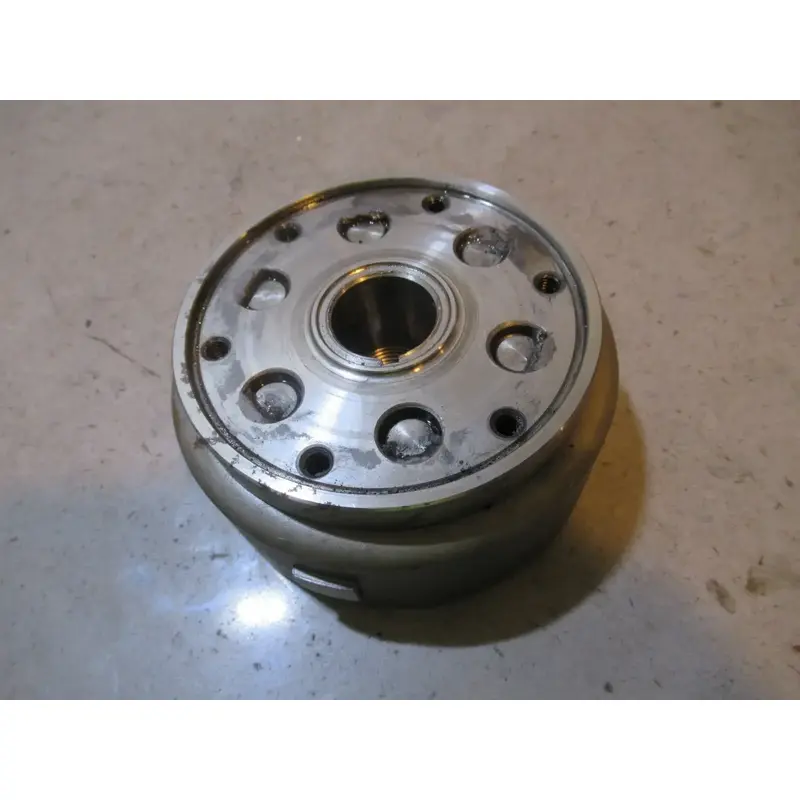 Honda TRX 300 Flywheel 1999 #2