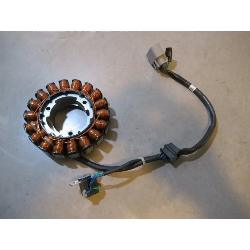 Suzuki King Quad LTA 750 Stator 2020 #6