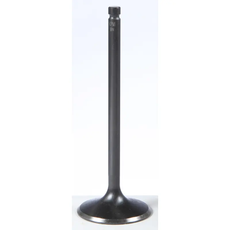 KPMI BLACK DIAMOND INTAKE VALVE