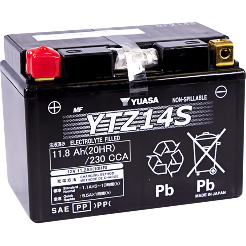 High Performance AGM Maintenance-Free Battery