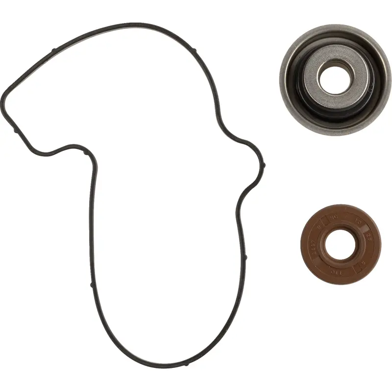 Water Pump Rebuild Kit