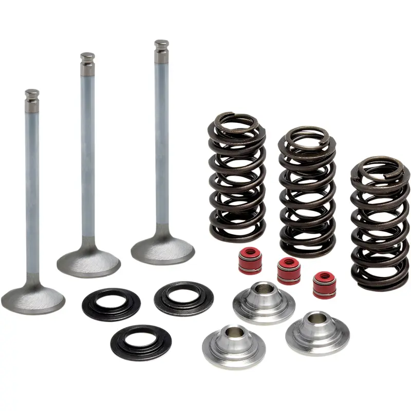 Stainless Steel Conversion Valve and Spring Kit