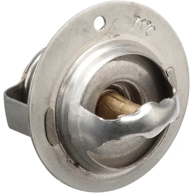Replacement Thermostat - Polaris