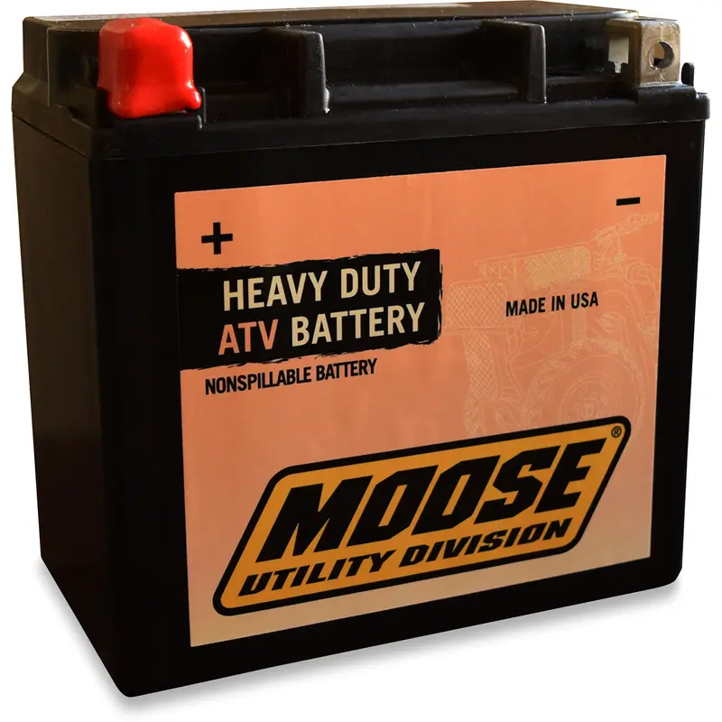 Factory-Activated AGM Maintenance-Free Battery