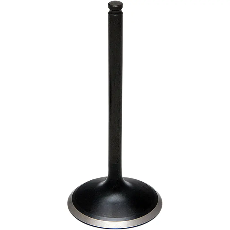 Black Diamond Engine Valve
