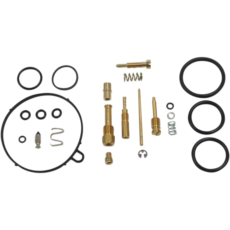 Carburetor Repair Kit