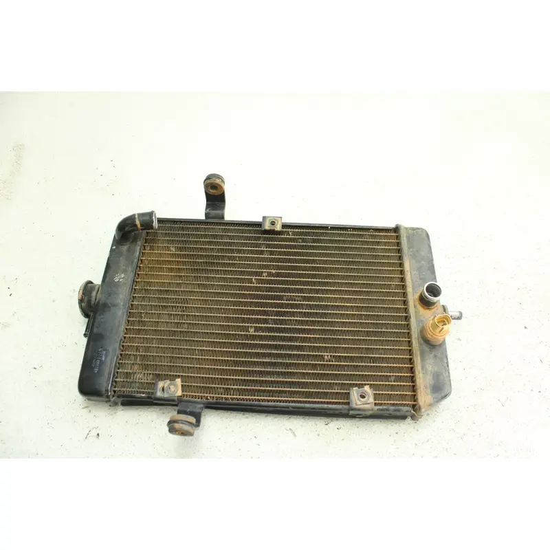 2001 Yamaha Raptor 660r OEM Radiator  B4458