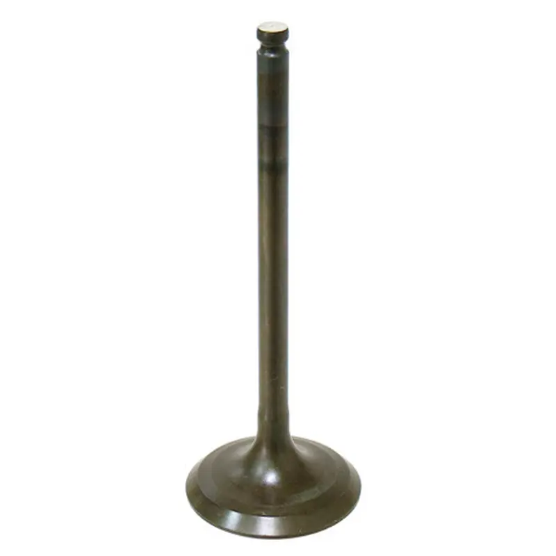 BRONCO INTAKE VALVE