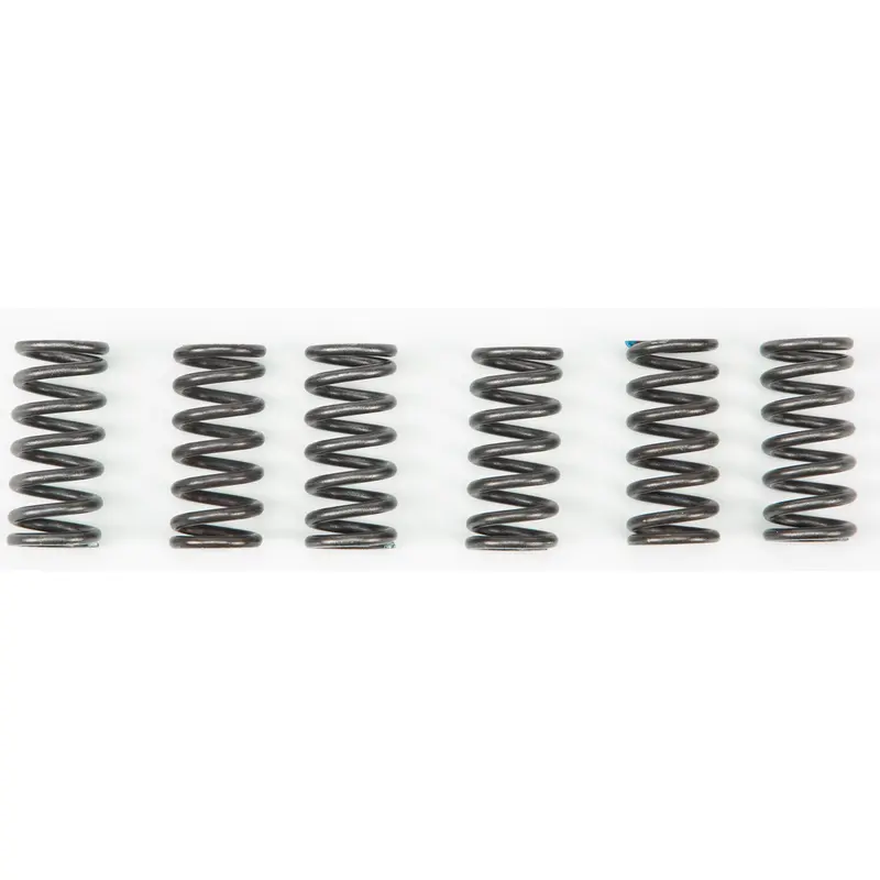 Clutch Springs
