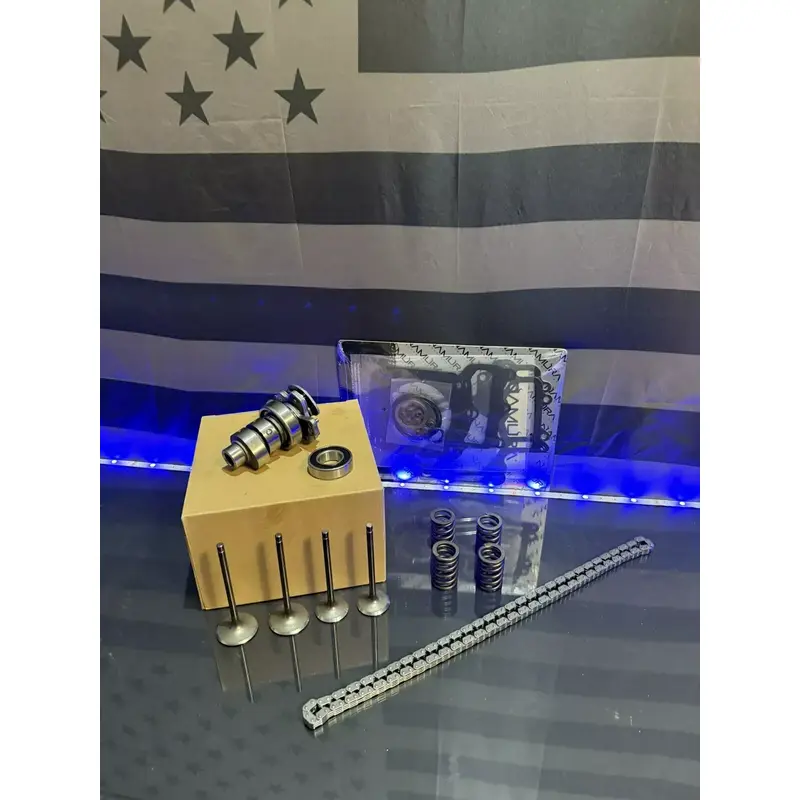 Yamaha 15-24 Raptor 700 700R - Valves / Springs / Camshaft/ Timing Chain