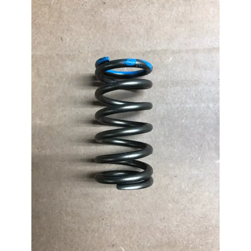 OEM POLARIS VALVE SPRING PREDATOR RANGER RZR SPORTSMAN SCRAMBLER 570 900 1000