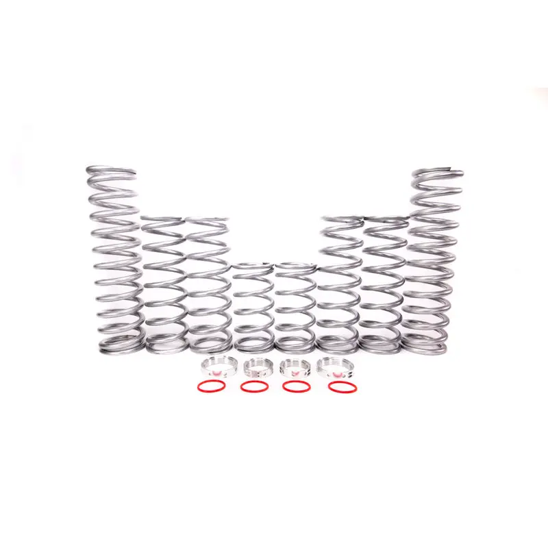 Shock Therapy Polaris RZR RS1 Dual Rate Spring Kit