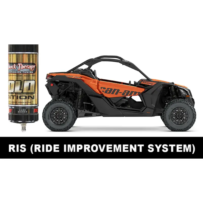 Ride Improvement System (RIS) by Shock Therapy