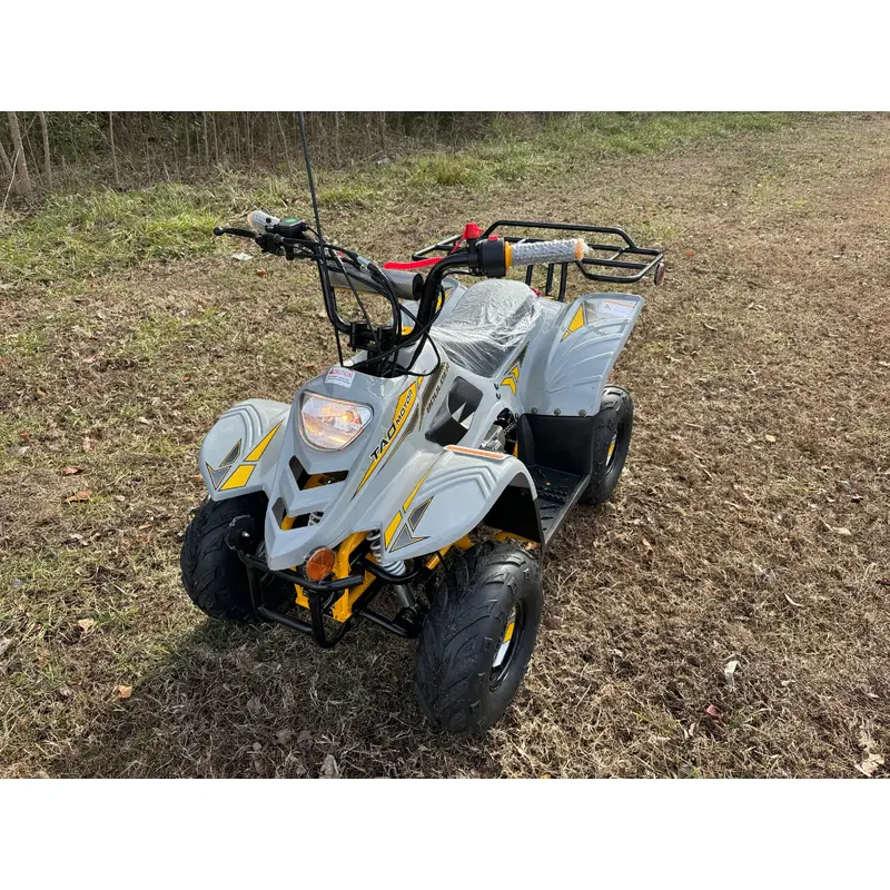 Tao Tao Boulder 110 Children's ATV, 4-Stroke 110cc