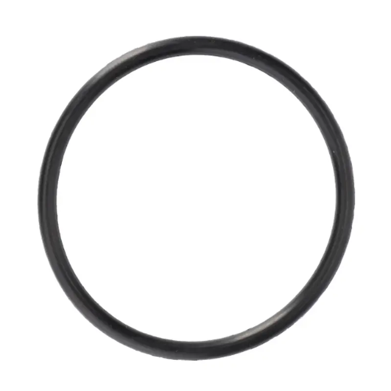 Massey Ferguson - O Ring Pump Cover - 70923570