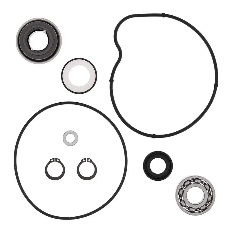 Vertex Water Pump Rebuild Kit - YFM660R Raptor '01-'05