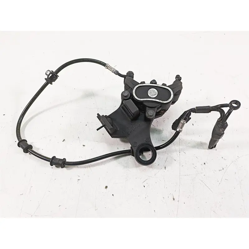 2019 Harley XL883N Sportster Iron Rear Brake Caliper & Bracket, Line 41300039