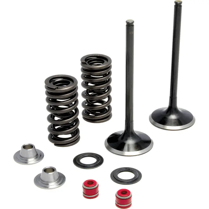 KPMI INTAKE VALVE SPRING KIT 30-31210