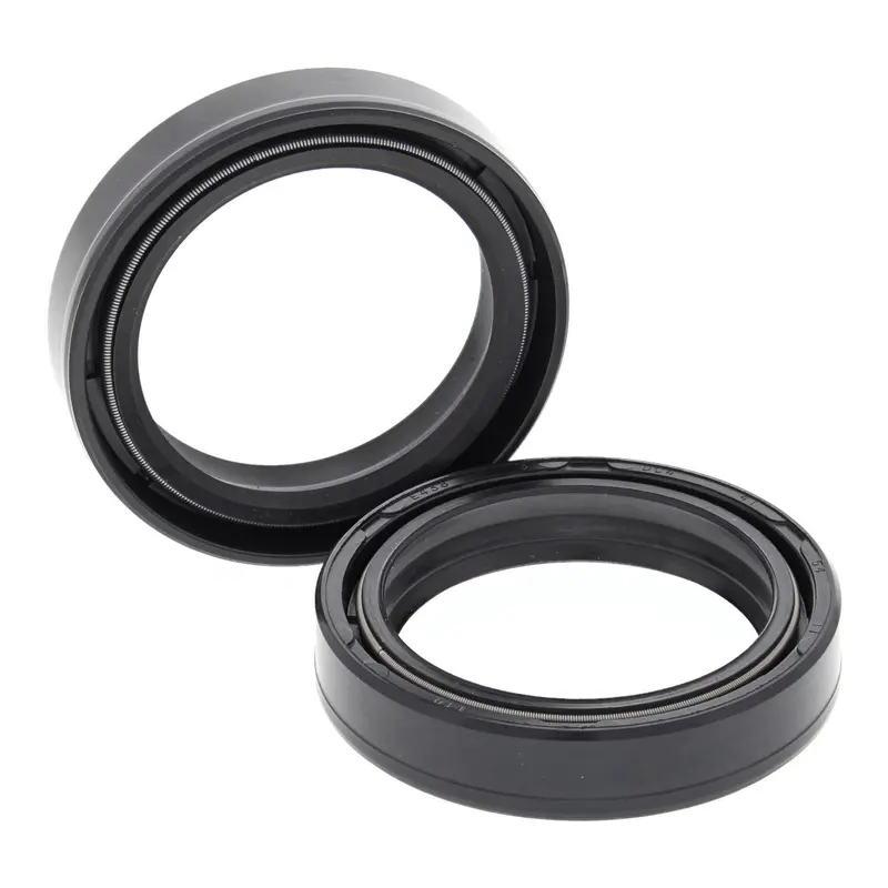 Fork Seals Pair 41x54x11 55-119