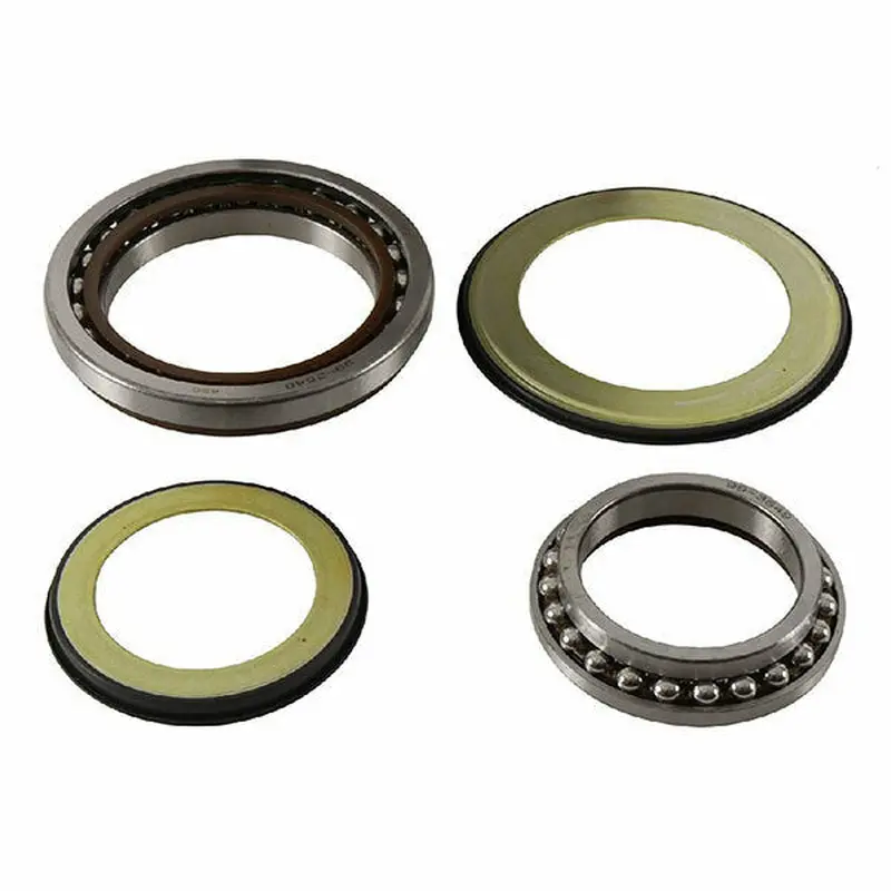 STEERING BEARING-SEAL KIT (22-1079)