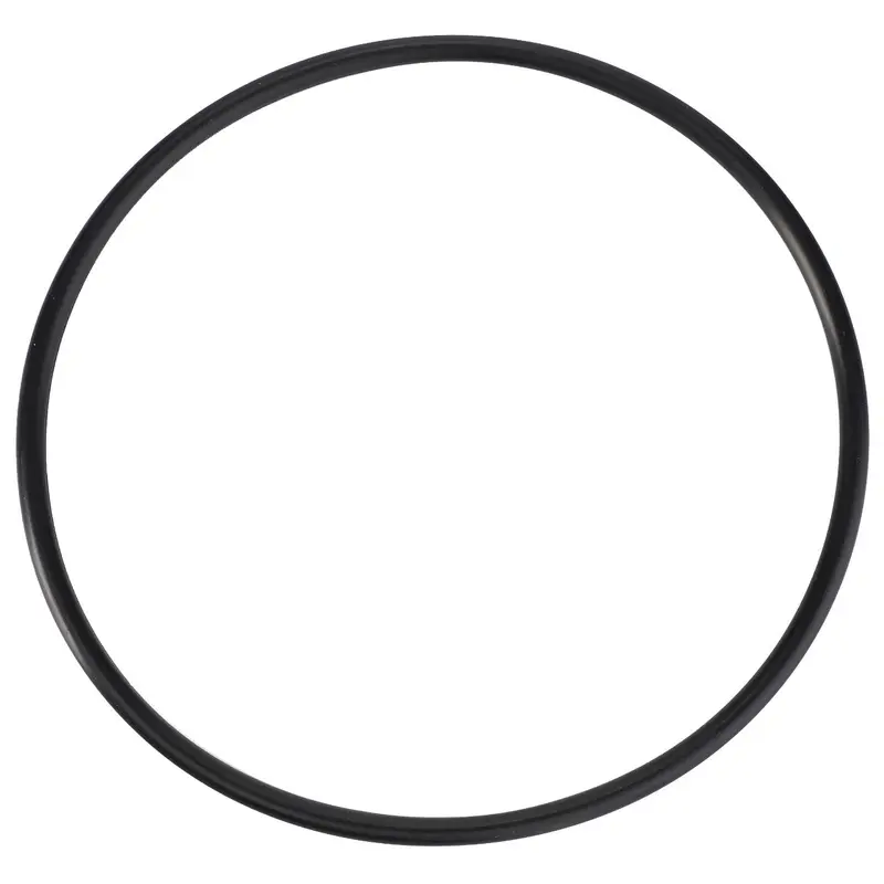 AGCO | O-Ring, Rangebox Flange,  79,50 X 3,00 Mm - 3005538X1
