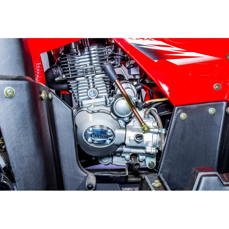 Canyon 250cc ATV Engine