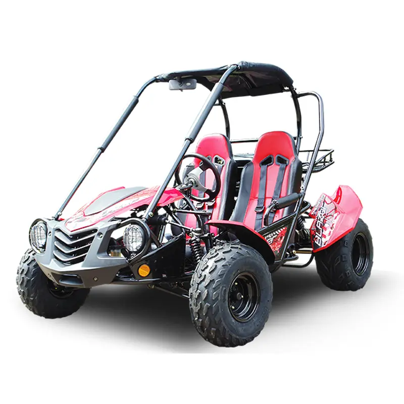 Trailmaster Blazer 200 Adult Go-Kart Buggy