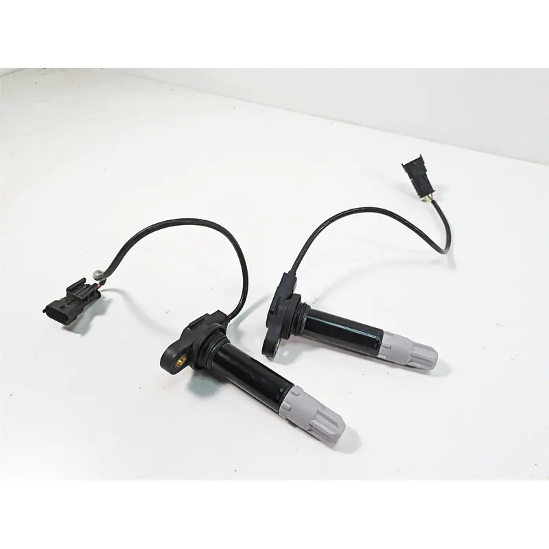 2020 Ducati Hypermotard 950 SP Beru Ignition Coils Stick Coil Set 38010145B