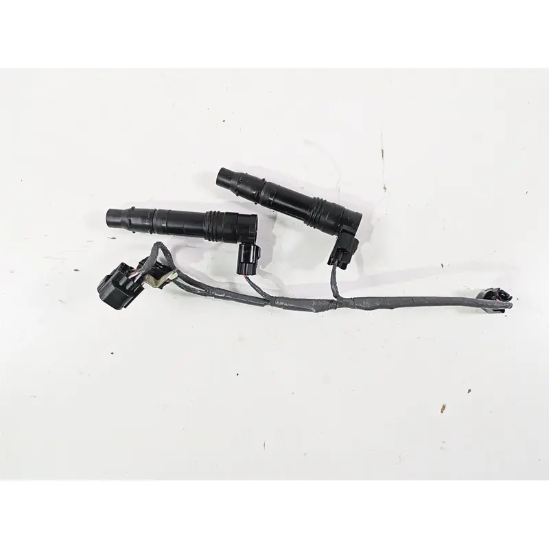2023 Kawasaki ZX1400 ZX14R Ninja 2 Ignition Coils & Wiring 21171-0005
