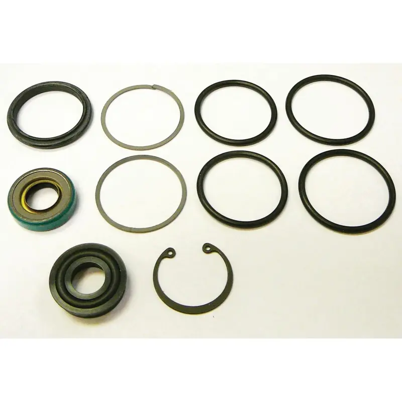 Steering Cylinder Repair Kit | Sparex Part No.S.60666