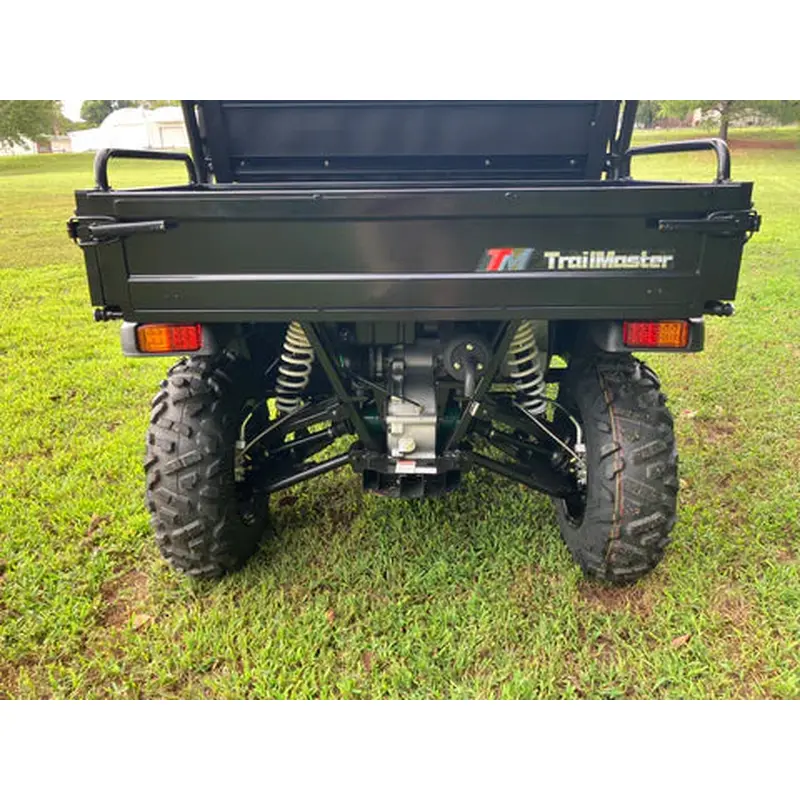 Trailmaster Taurus 200 Golf Cart 200cc Engine