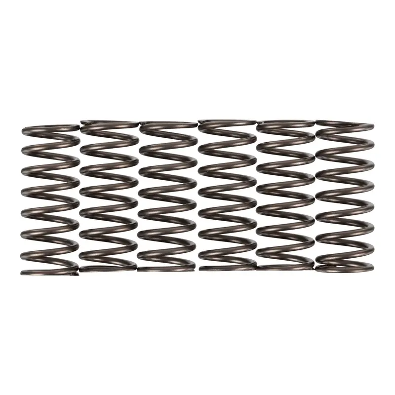 Premier Clutch Springs - Heavy Duty