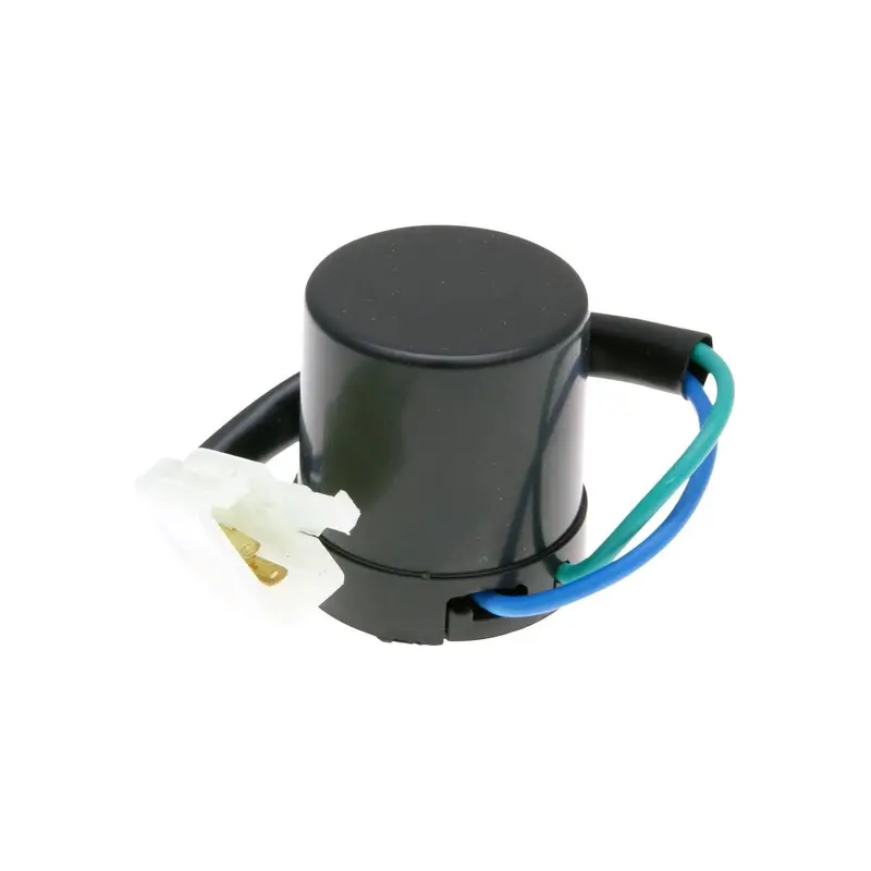 Blinkersrel 12V 2-stift med ljud Universal